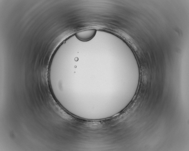 X0000111431186200908031325