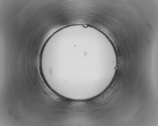 X0000111431187200908031325