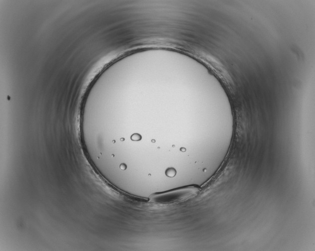 X0000111431188200908031325