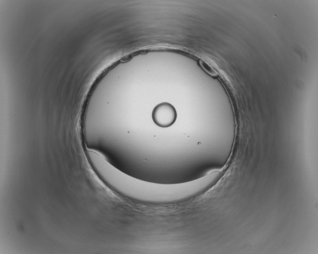 X0000111431189200908031325