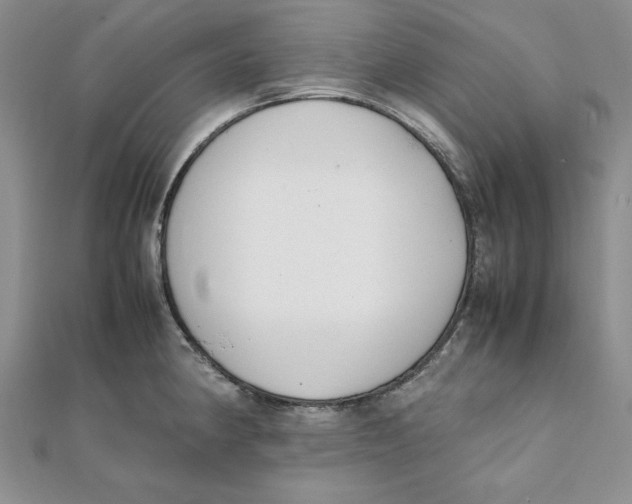 X0000111431190200908031325