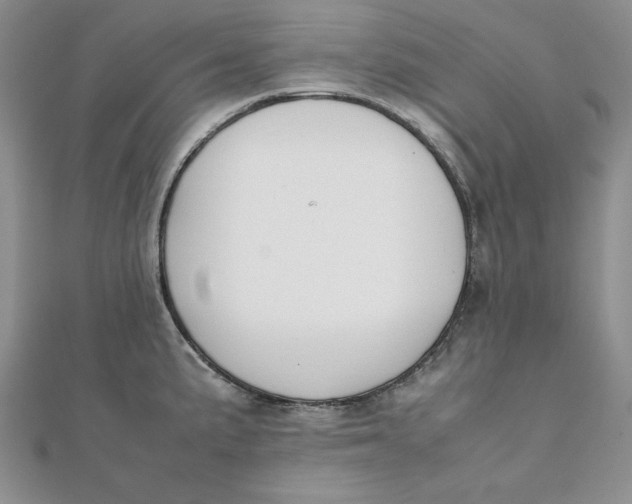 X0000111431191200908031325