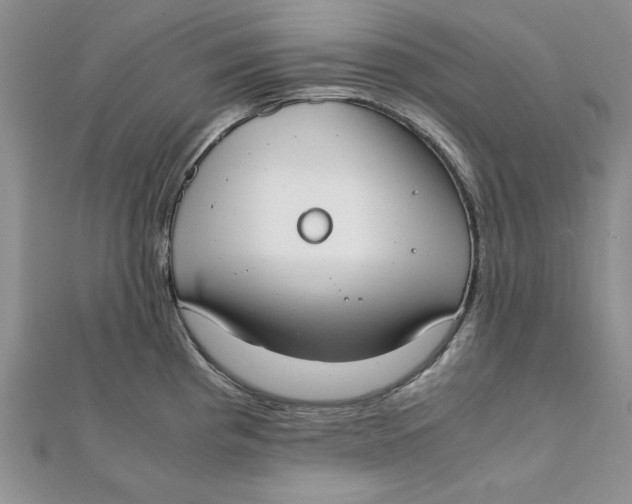 X0000111431193200908031325