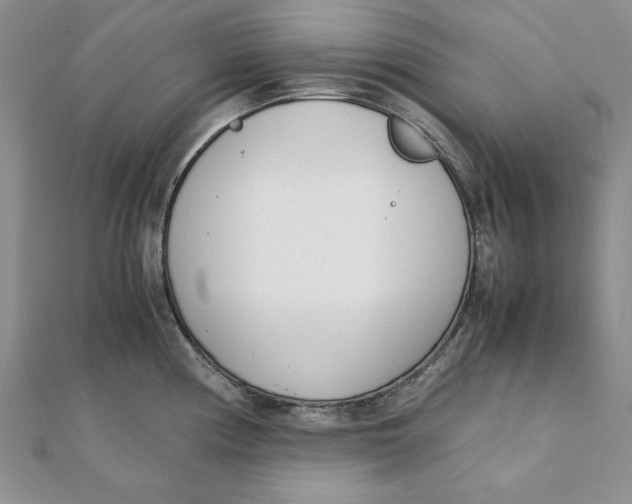 X0000111431194200908031325