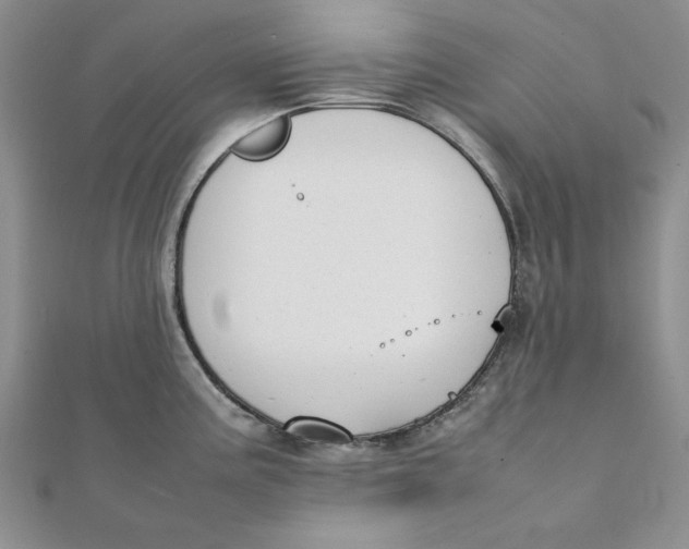 X0000111431195200908031325