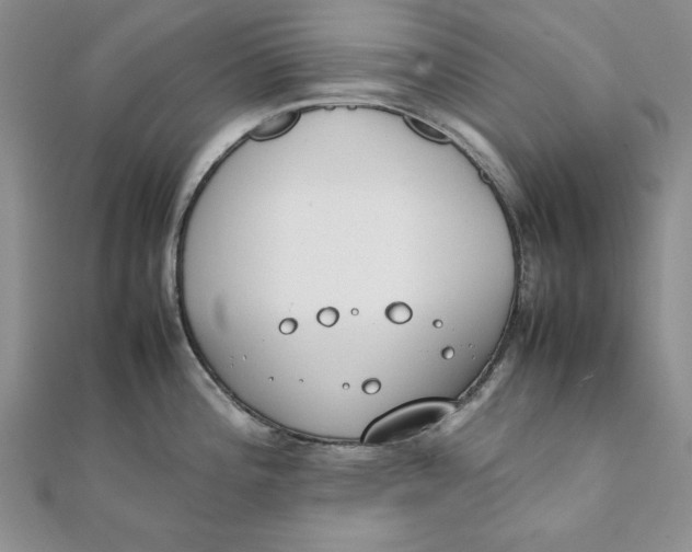 X0000111431196200908031325