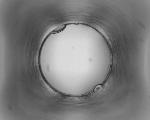 X0000111431197200908031324