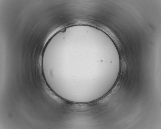 X0000111431198200908031324