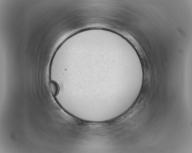 X0000111431199200908031324