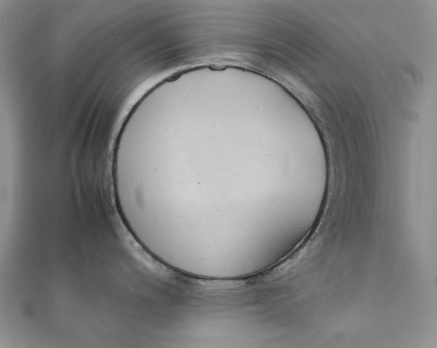 X0000111431200200908031324