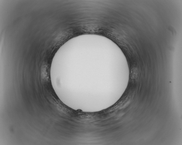 X0000111431202200908031324