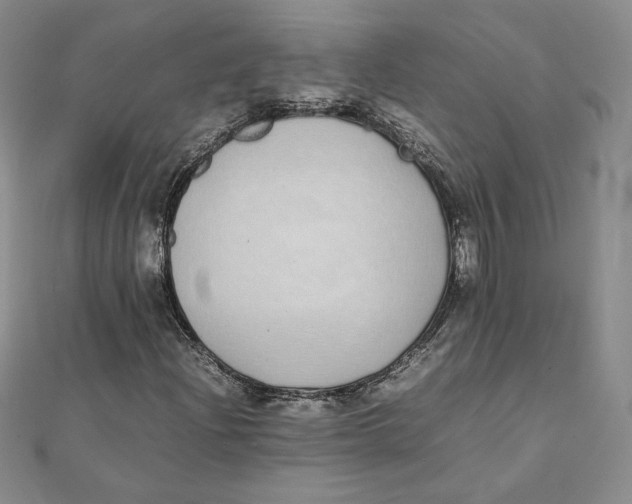 X0000111431204200908031324