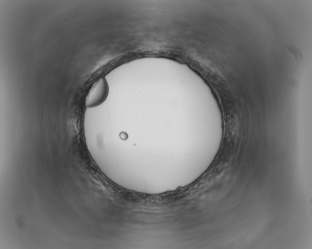 X0000111431206200908031324