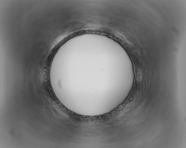 X0000111431208200908031324