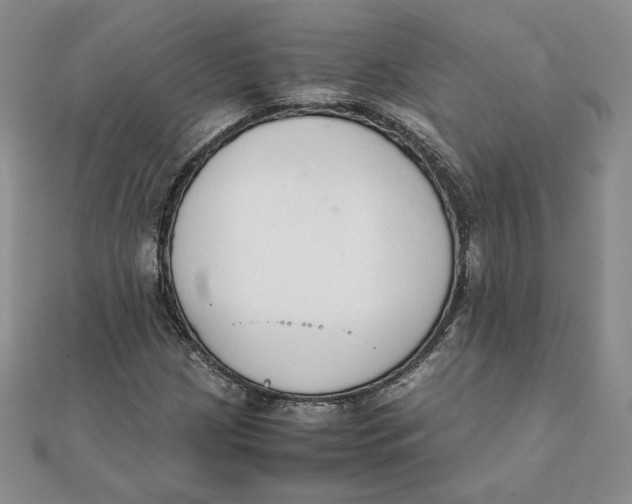 X0000111431209200908031324