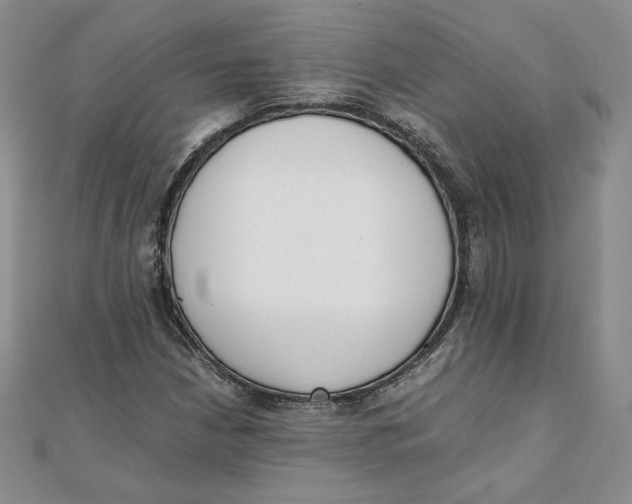 X0000111431210200908031324