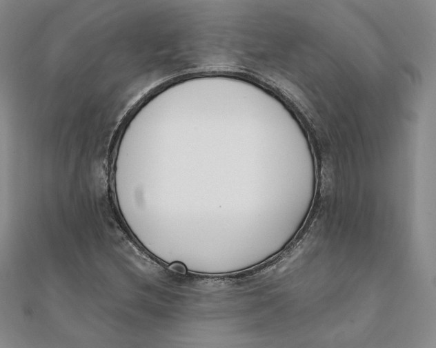 X0000111431212200908031324