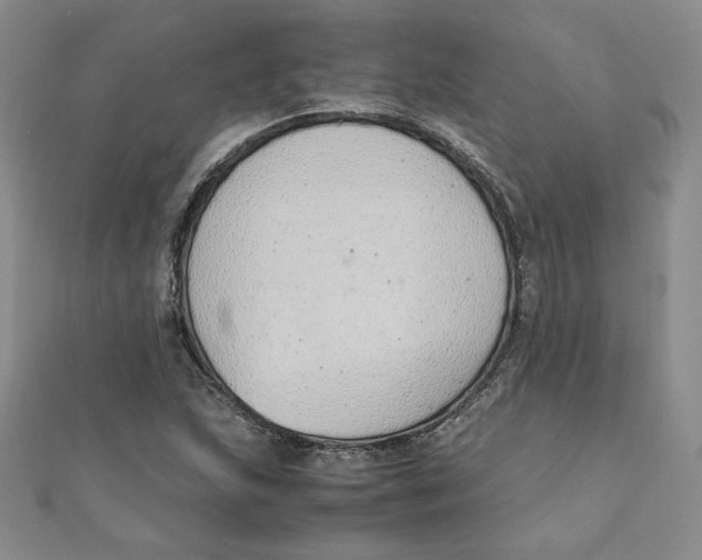 X0000111431215200908031324