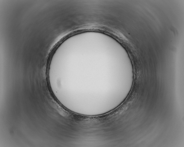 X0000111431216200908031324