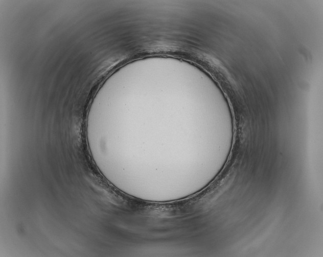 X0000111431217200908031324