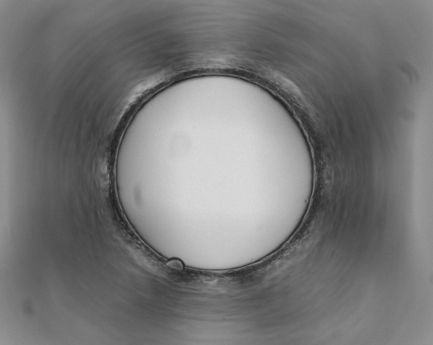 X0000111431218200908031324