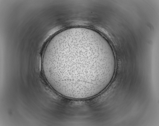 X0000111431219200908031324