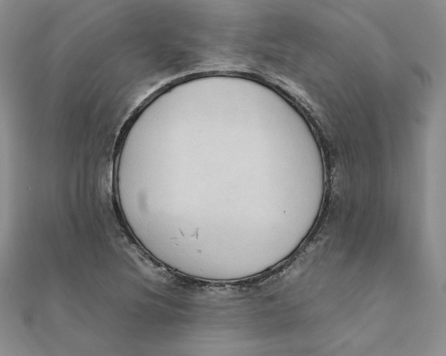 X0000111431220200908031324