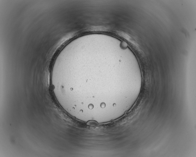 X0000111431221200908031324