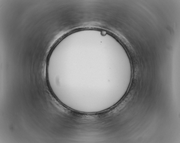 X0000111431224200908031324