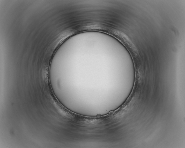 X0000111431225200908031324