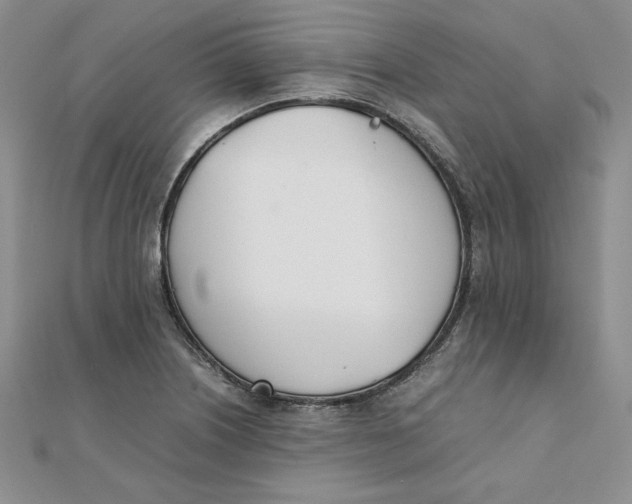 X0000111431226200908031324