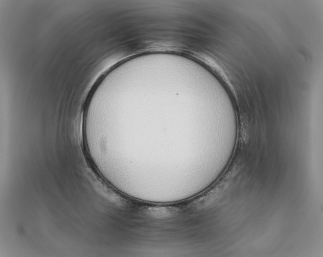 X0000111431227200908031324