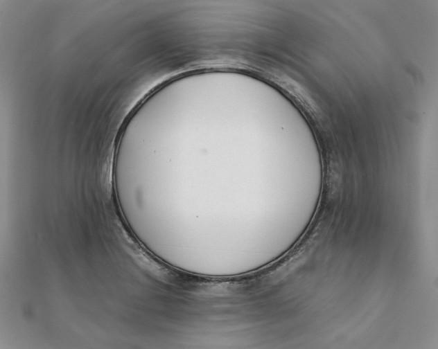 X0000111431228200908031324