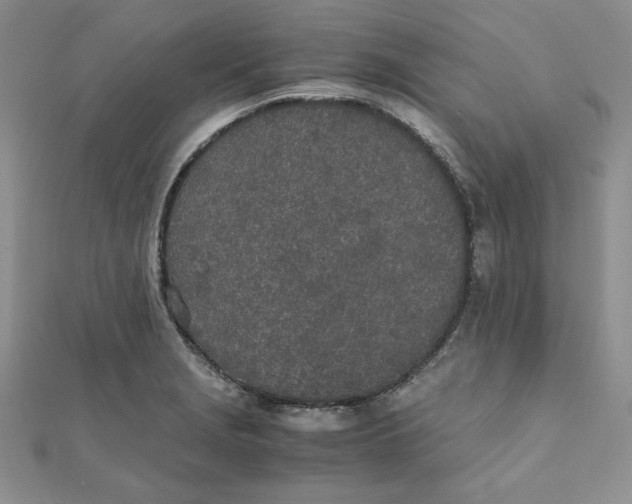 X0000111431229200908031324