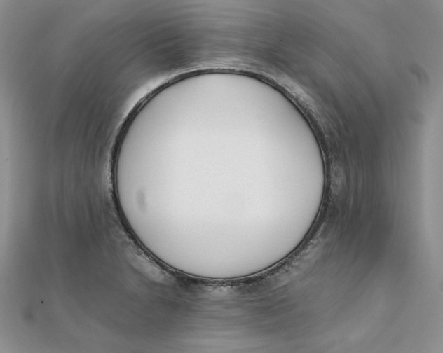 X0000111431230200908031324