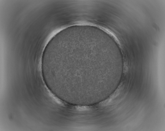 X0000111431231200908031324