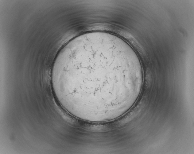 X0000111431233200908031324