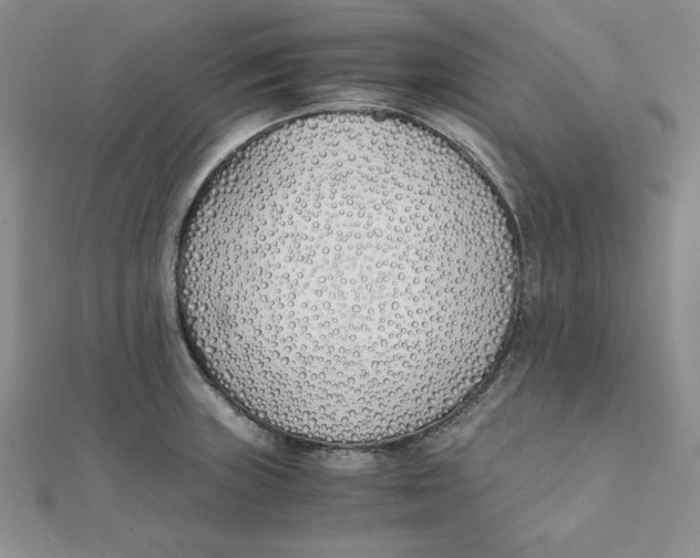 X0000111431235200908031324