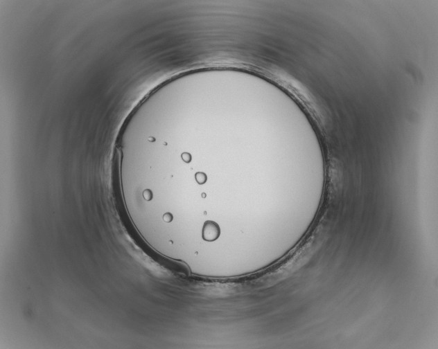 X0000111431236200908031324