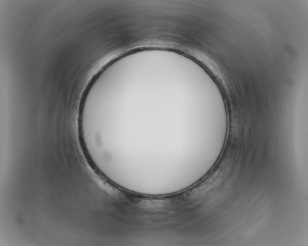 X0000111431237200908031324