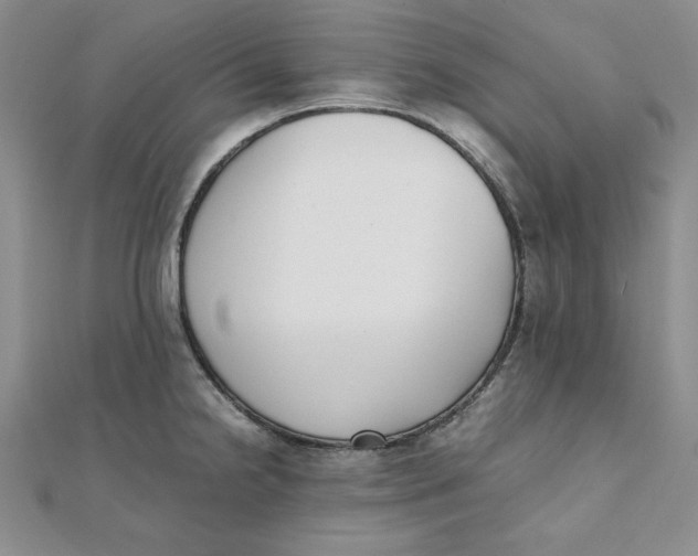 X0000111431238200908031324