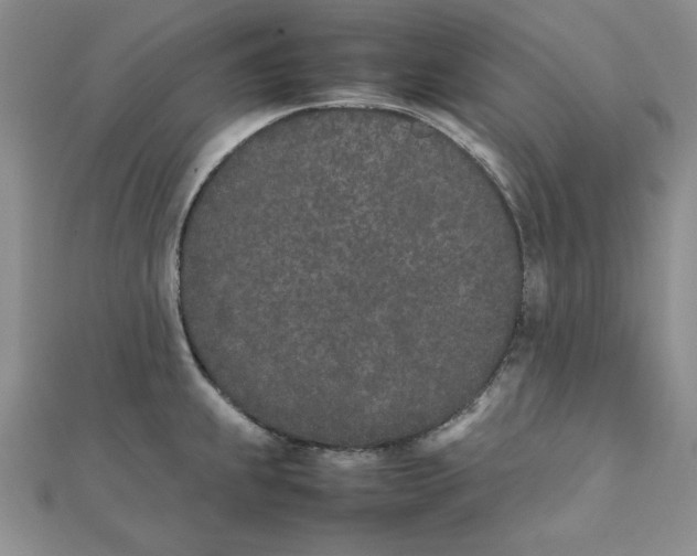 X0000111431239200908031324