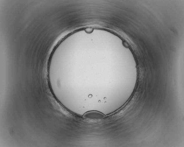 X0000111431240200908031324