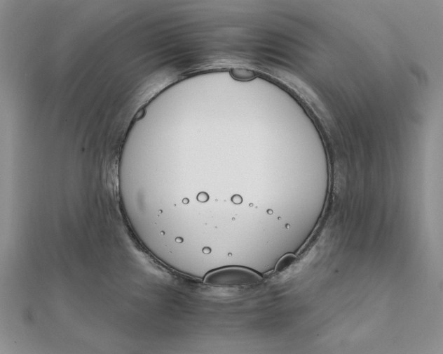 X0000111431241200908031324