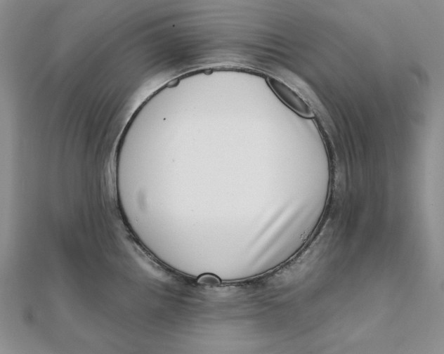 X0000111431242200908031324