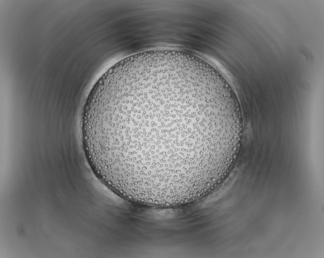 X0000111431243200908031324