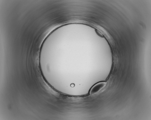 X0000111431244200908031324