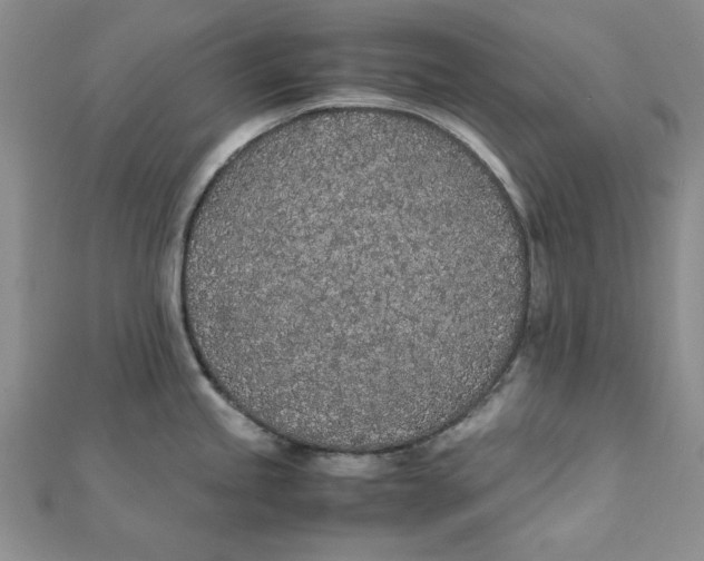 X0000111431245200908031324