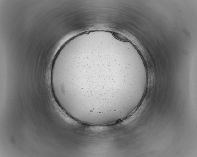 X0000111431246200908031324