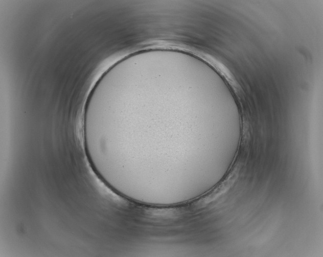 X0000111431247200908031324